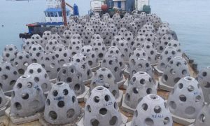 Precast Concrete Domes